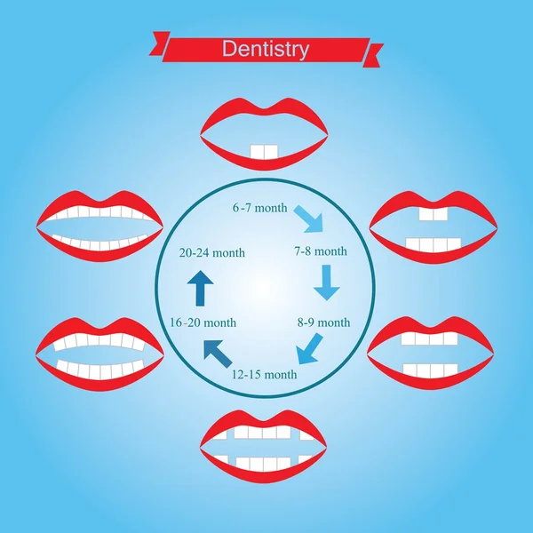 Podmínky vzniku primární zuby Vektorová Grafika