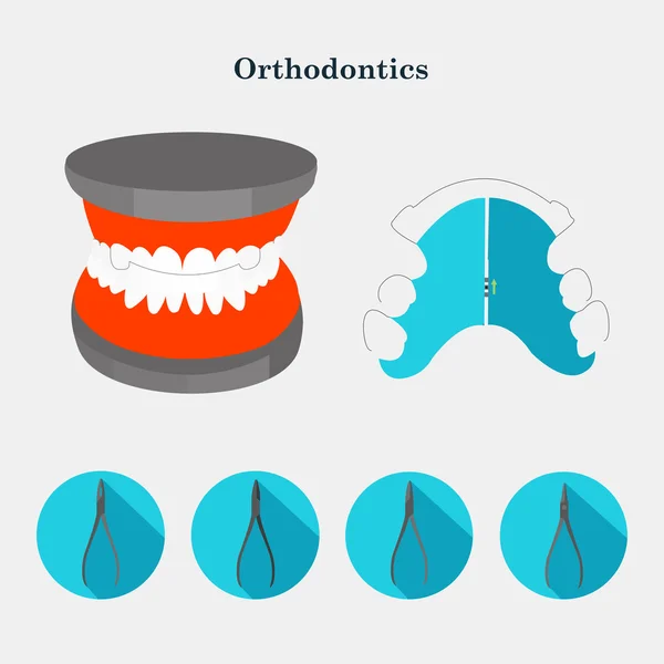 치과 턱 모델 및 교정 판 — 스톡 벡터