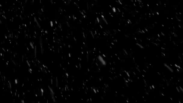 Schnee — Stockvideo