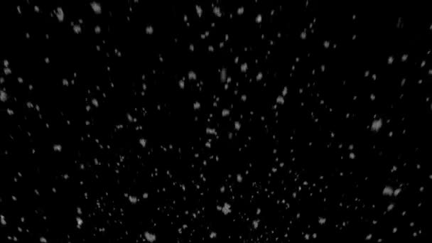 Сніг — стокове відео