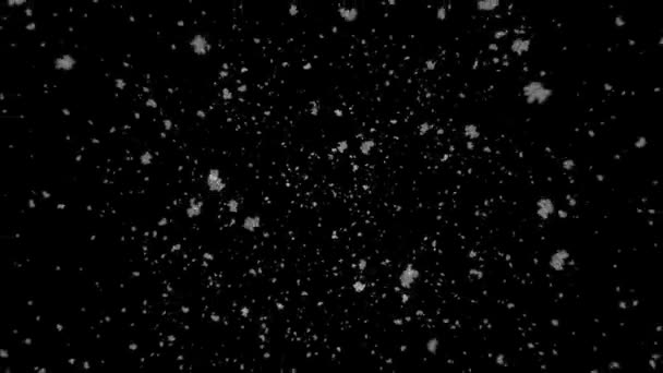 雪 ロイヤリティフリーのストック動画