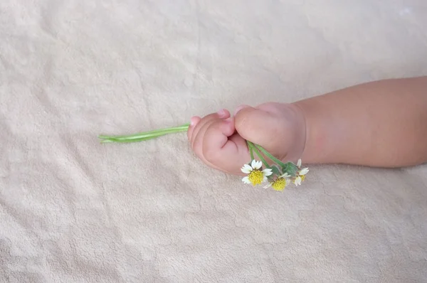 Mão do bebê segurando uma flor no tecido . — Fotografia de Stock