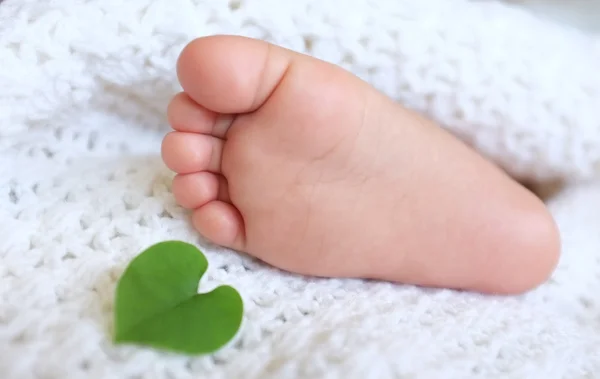 Heart-shaped leaves  and Baby feet wrapped in a white blanket — Stock Photo, Image