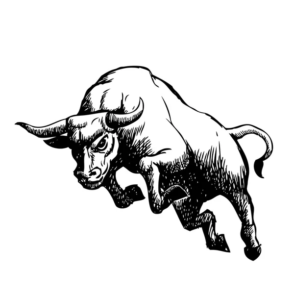 Boceto a mano alzada ilustración de toro de carga — Vector de stock