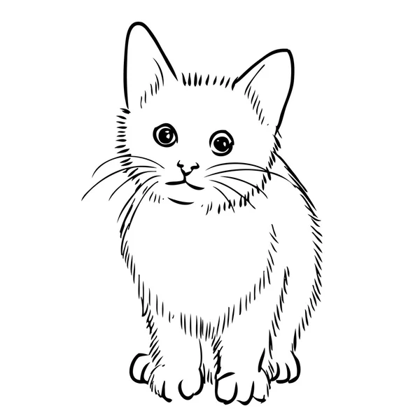 Desenho à mão livre ilustração de gato pequeno — Vetor de Stock