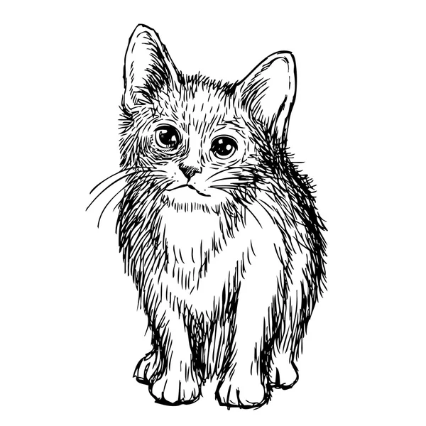 Εικονογράφηση ελεύθερο σκίτσο από μικρή γάτα — Διανυσματικό Αρχείο