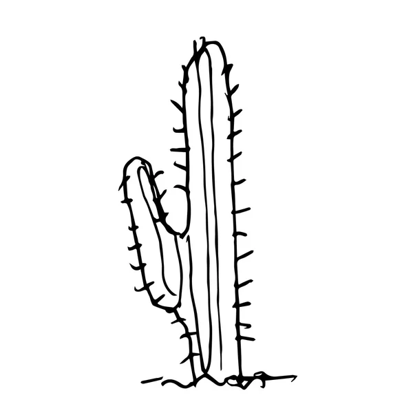 Cactus doodle dessiné à la main — Image vectorielle