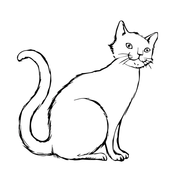 Macska kézzel rajzolt — Stock Vector
