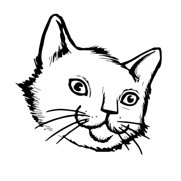 Chat dessiné à la main — Image vectorielle