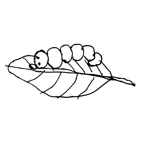 Worm op een blad hand getrokken doodle — Stockvector