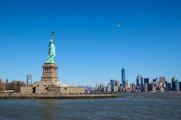 Statue of Liberty with a seagull on a sunny day, Manhattan in the background.