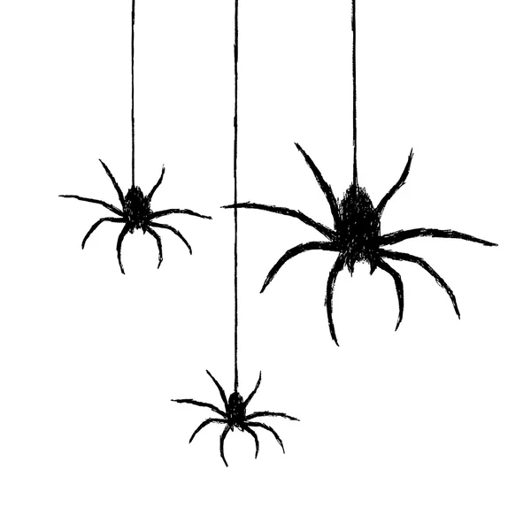 Araignées — Image vectorielle