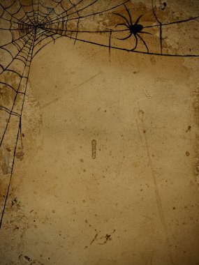 örümcek ve spiderweb