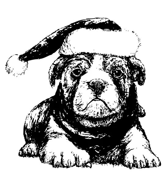 Bulldog con cappello — Vettoriale Stock