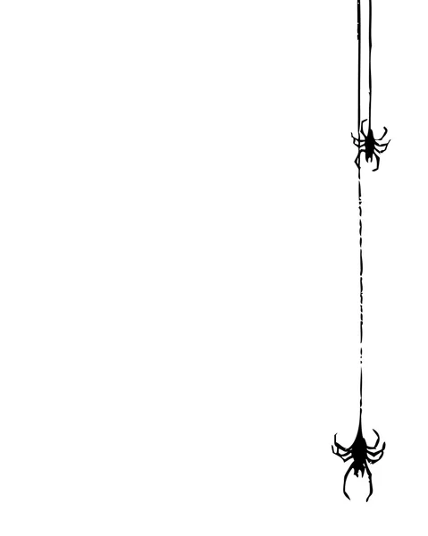 Araignée et toile — Image vectorielle