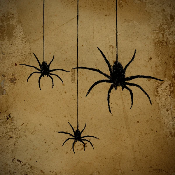 Spiders — Stock Photo, Image