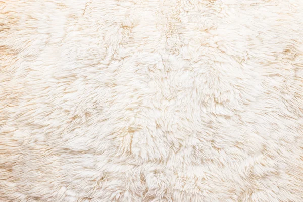 Fehér szőr szőnyeg — Stock Fotó