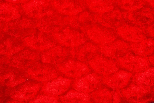 Fourrure rouge — Photo