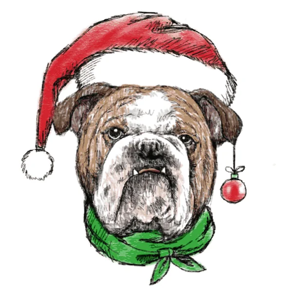 Bulldoggen-Kopf mit Weihnachtsmann-Hut — Stockvektor