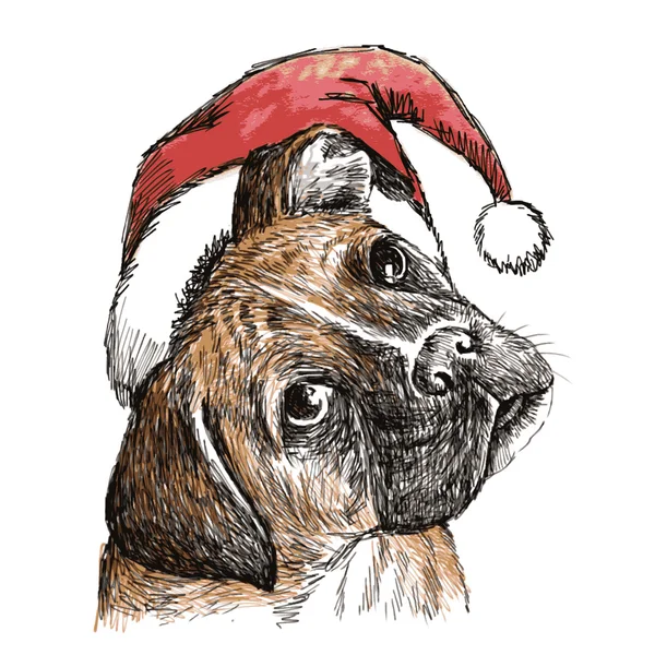 Tête de boxeur avec chapeau santa claus — Image vectorielle