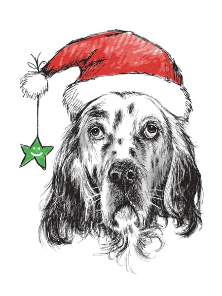 English setter with santa claus hat — Stock Vector