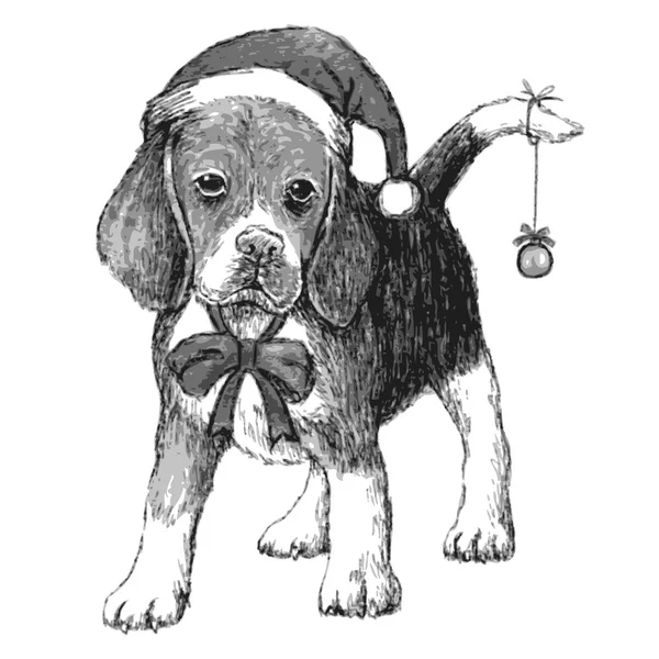 Beagle mit Weihnachtsmütze — Stockvektor