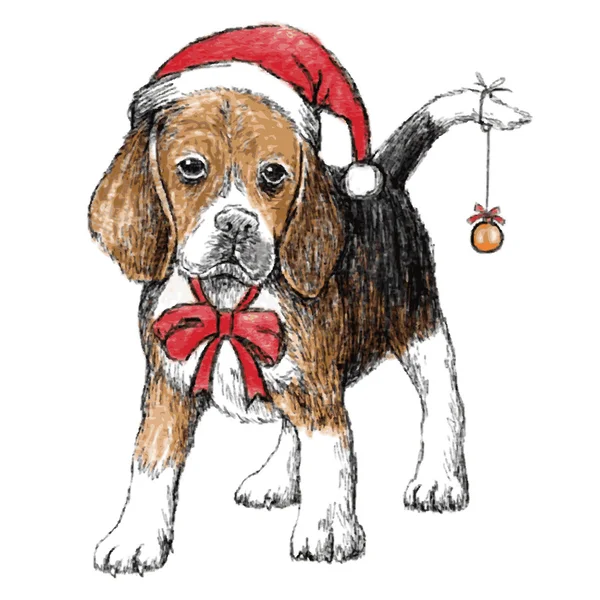 Beagle con sombrero de Navidad — Vector de stock