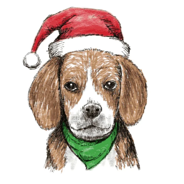 Beagle con sombrero de Navidad — Vector de stock