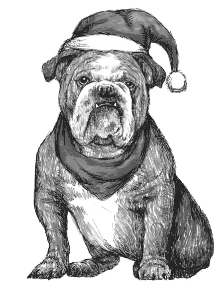 Bulldog con sombrero de Navidad — Vector de stock