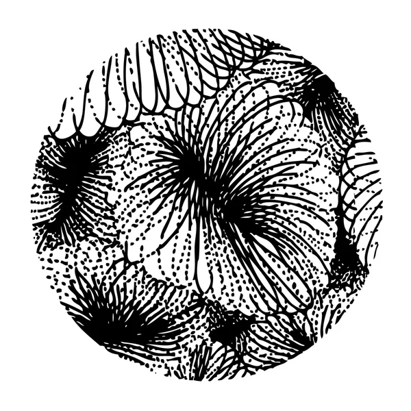 Kreisgestaltung — Stockvektor