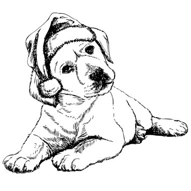 Labrador geri almak
