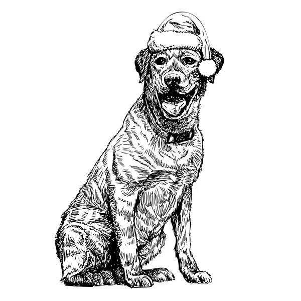 Labrador retriever — Vector de stock