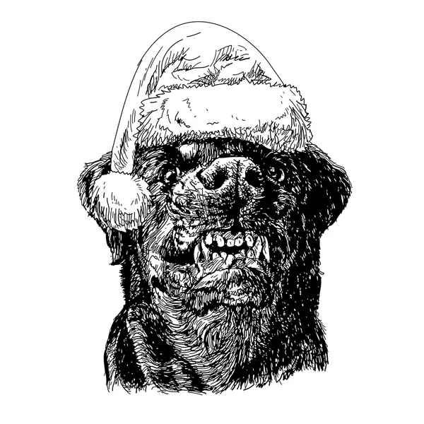 Rottweiler avec chapeau santa claus — Image vectorielle