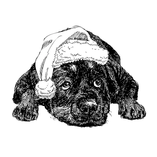 Rottweiler con sombrero de Santa Claus — Vector de stock