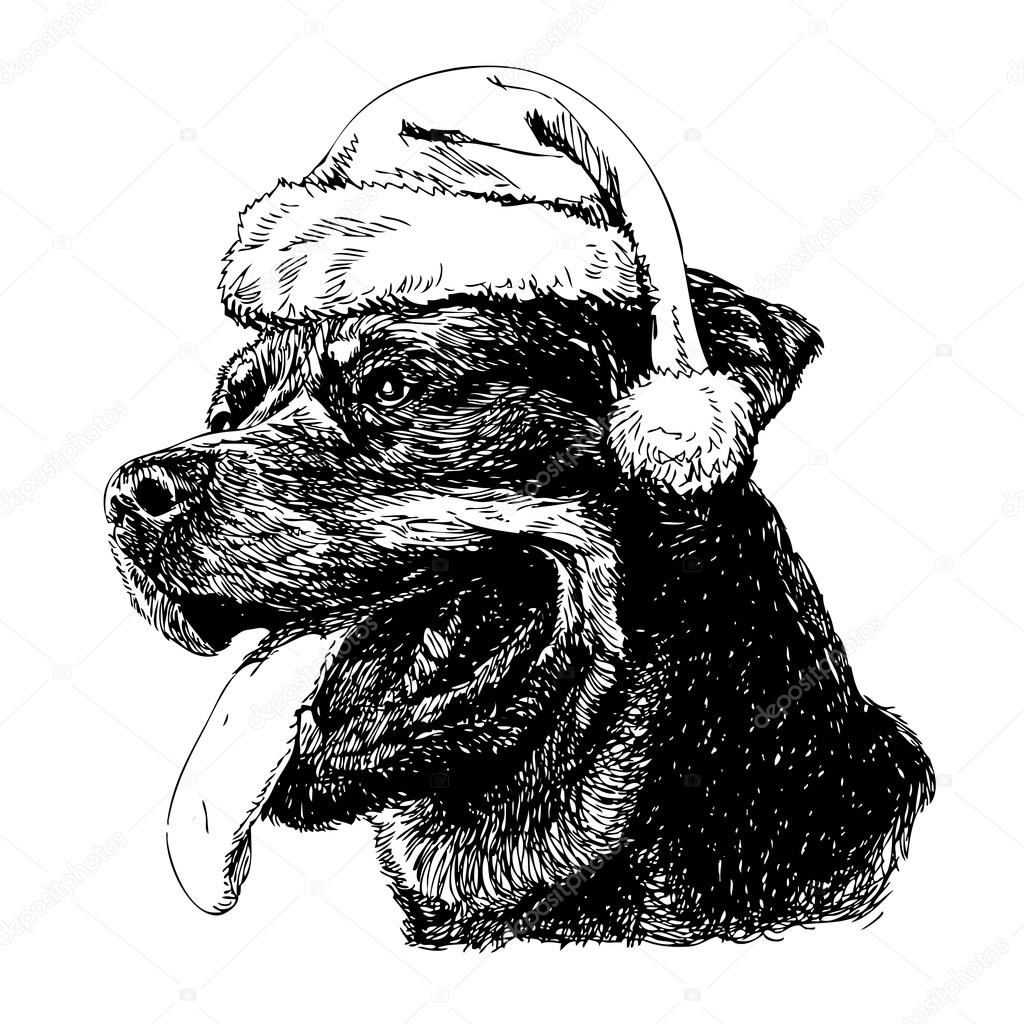 Rottweiler with santa claus hat