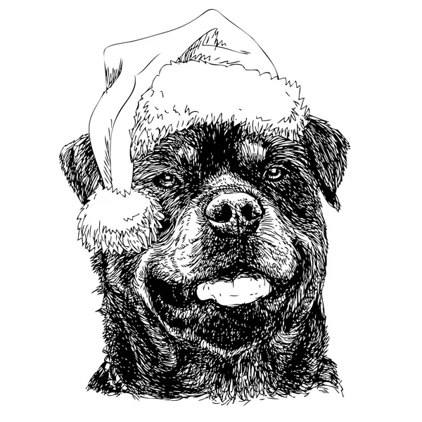 Rottweiler mit Weihnachtsmann-Hut — Stockvektor