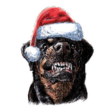 Rottweiler santa claus şapka ile