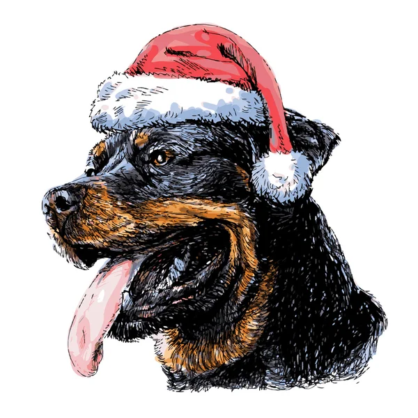 Rottweiler con cappello Babbo Natale — Vettoriale Stock