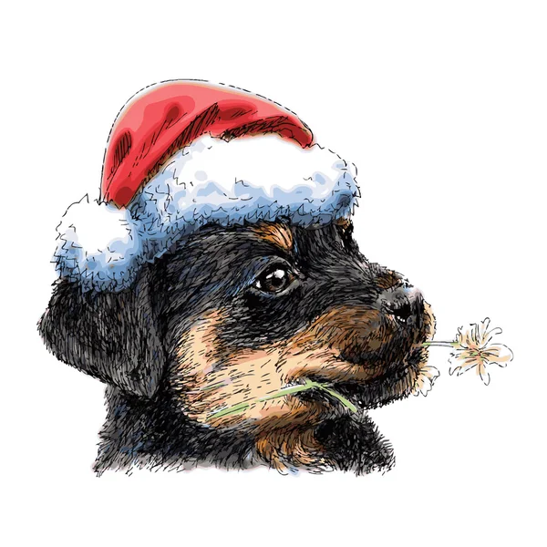 Rottweiler con sombrero de Santa Claus — Vector de stock