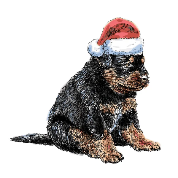 Rottweiler con sombrero de Santa Claus — Vector de stock