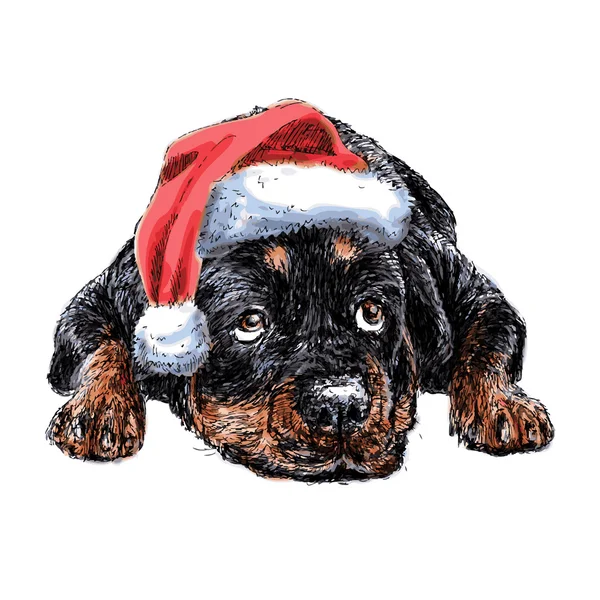 Rottweiler con cappello Babbo Natale — Vettoriale Stock