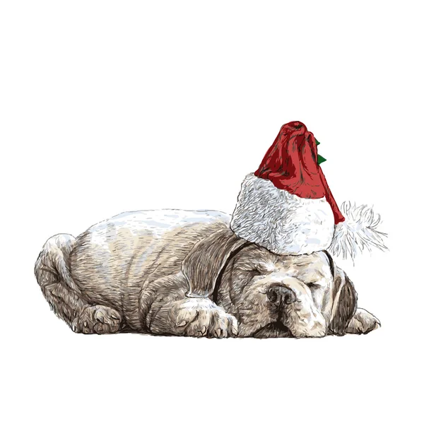 Bulldog mano dibujado — Archivo Imágenes Vectoriales