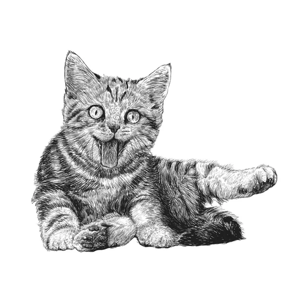 Pequeño gato — Archivo Imágenes Vectoriales