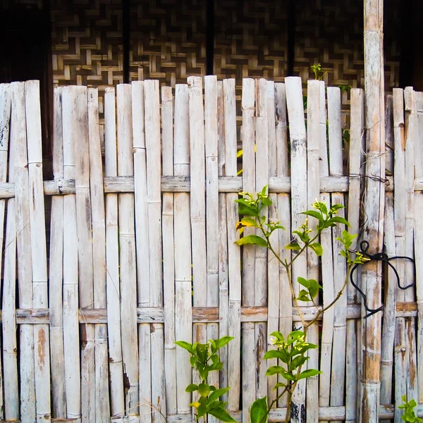 Ağaç ile aşınmış eski bambu çit — Stok fotoğraf