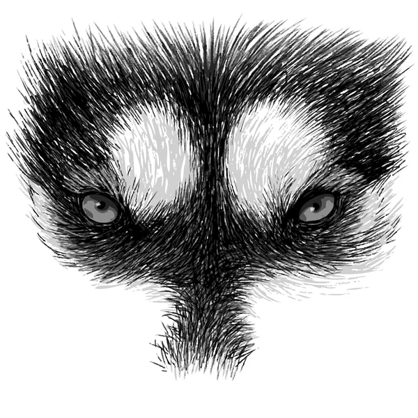 Les yeux de Husky sibérien — Image vectorielle