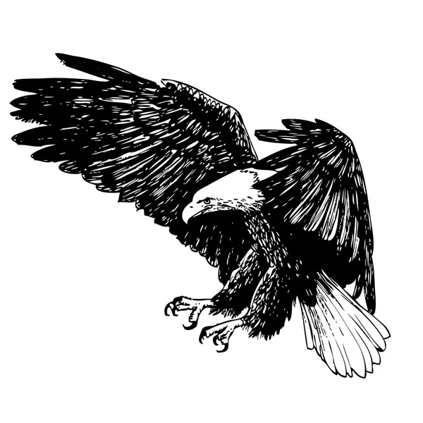 Águia preta e branca desenhada à mão — Vetor de Stock
