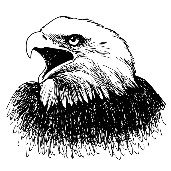 Black and white eagle hand getrokken — Stockvector