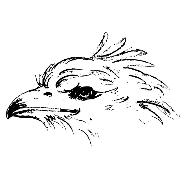 Černá a bílá rozzlobený orlí hlava — Stockový vektor