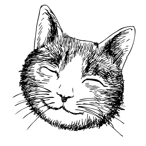 Sourire tête de chat — Image vectorielle