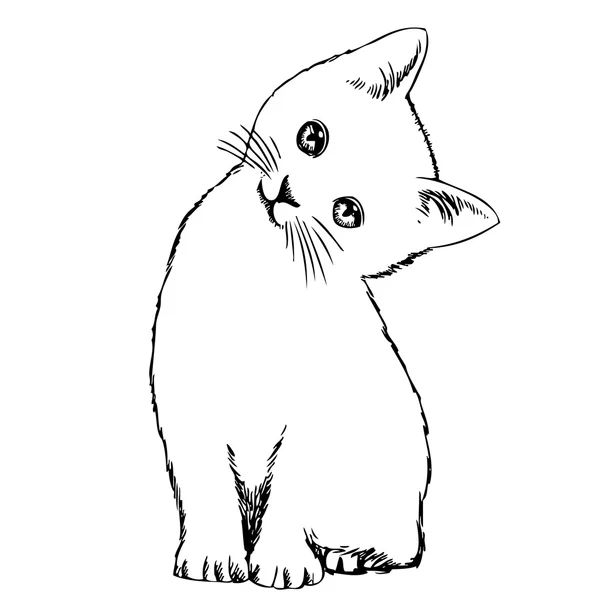 Mano de gato — Archivo Imágenes Vectoriales